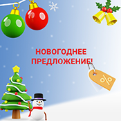 Специальное новогоднее предложение!