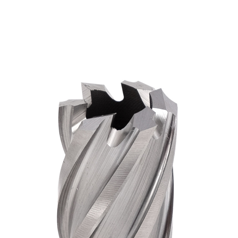 Корончатое сверло DIAM HSS ExtraLine D19 L50